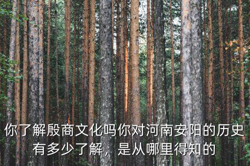 安陽殷商文化怎么樣,殷商文化安陽