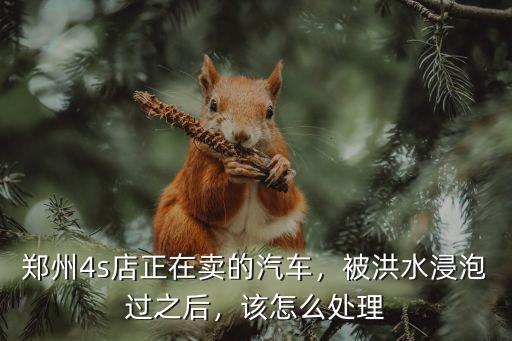 鄭州4s店正在賣的汽車，被洪水浸泡過之后，該怎么處理