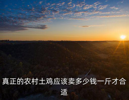 周口才雞多少錢一斤,農(nóng)村土雞多少錢一斤才賺錢