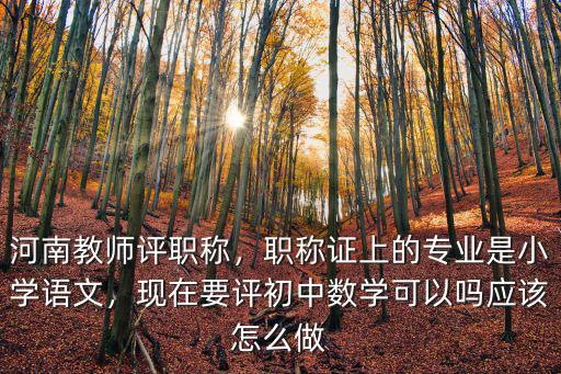 河南教師評職稱，職稱證上的專業是小學語文，現在要評初中數學可以嗎應該怎么做