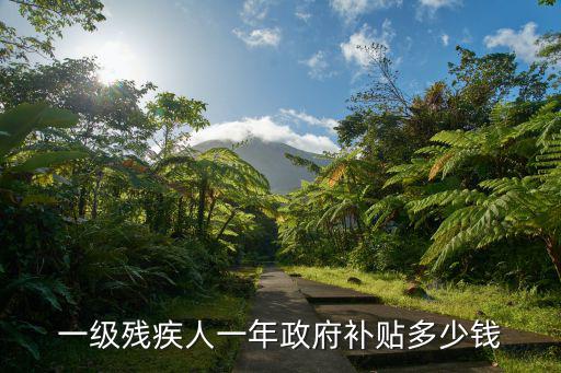 一級殘疾人一年政府補貼多少錢