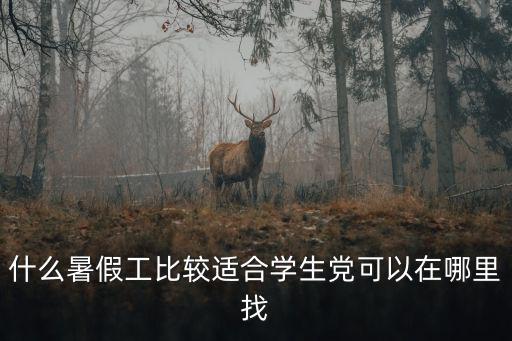什么暑假工比較適合學生黨可以在哪里找