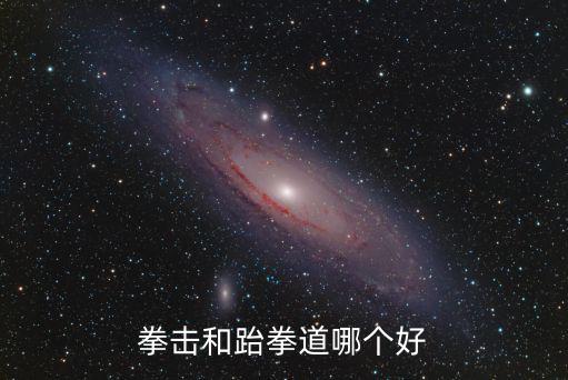 拳擊和跆拳道哪個好