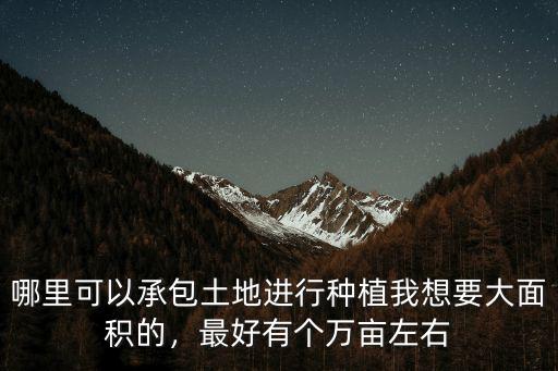 哪里可以承包土地進行種植我想要大面積的，最好有個萬畝左右