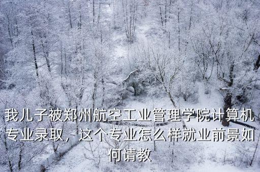 我兒子被鄭州航空工業管理學院計算機專業錄取，這個專業怎么樣就業前景如何請教