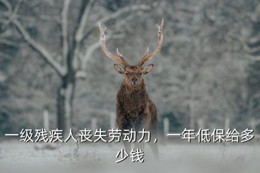 一級殘疾人喪失勞動力，一年低保給多少錢
