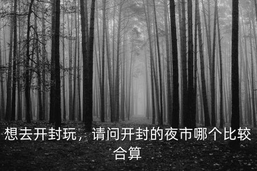 想去開封玩，請問開封的夜市哪個比較合算