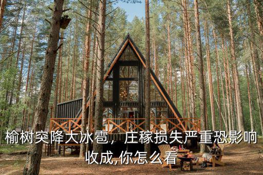 榆樹(shù)突降大冰雹，莊稼損失嚴(yán)重恐影響收成,你怎么看