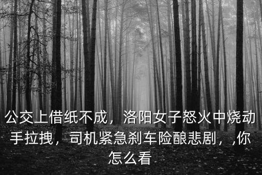 公交上借紙不成，洛陽女子怒火中燒動手拉拽，司機緊急剎車險釀悲劇，,你怎么看
