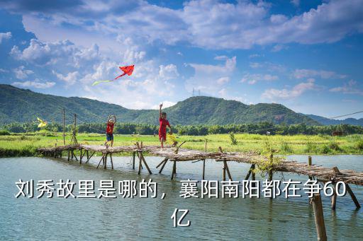 南陽周莊村在哪里,南陽張姓祖上是哪里的