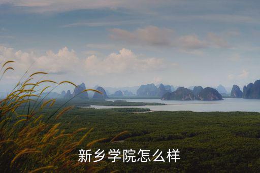 新鄉(xiāng)學(xué)院怎么樣