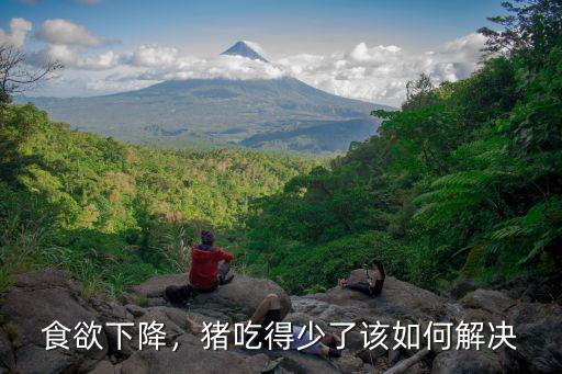 食欲下降，豬吃得少了該如何解決