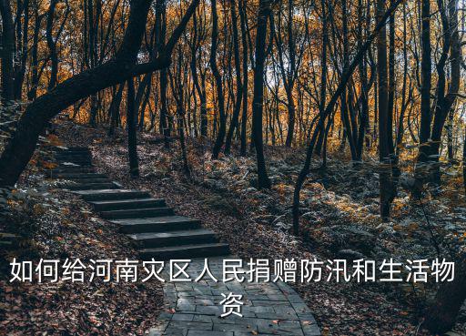 防汛救災馳援河南捐款在哪里,誰在馳援河南