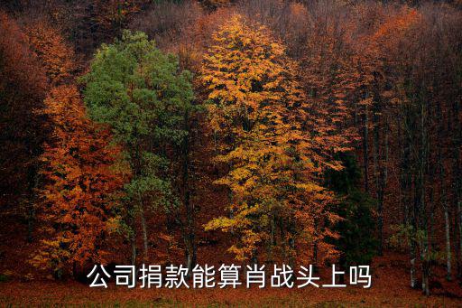 怎么在微博和肖戰(zhàn)一起為河南捐款,怎么評價肖戰(zhàn)在第一時間捐款