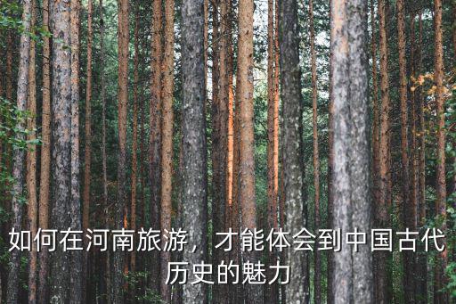 如何在河南旅游，才能體會到中國古代歷史的魅力