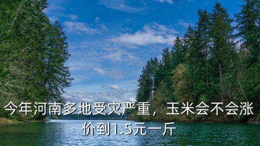 今年河南多地受災嚴重，玉米會不會漲價到1.5元一斤
