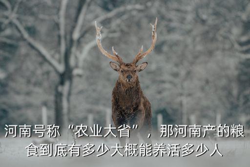 河南號稱“農業大省”，那河南產的糧食到底有多少大概能養活多少人