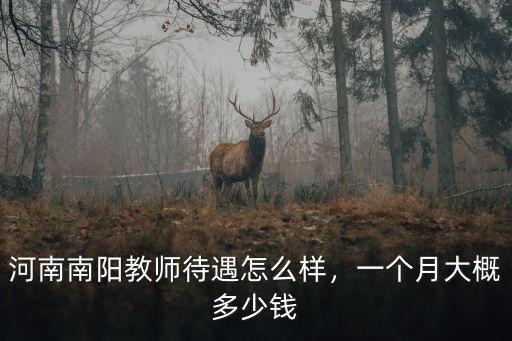 河南南陽教師待遇怎么樣，一個月大概多少錢