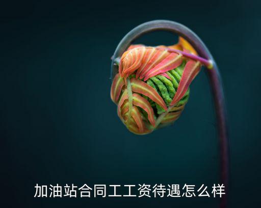 加油站合同工工資待遇怎么樣