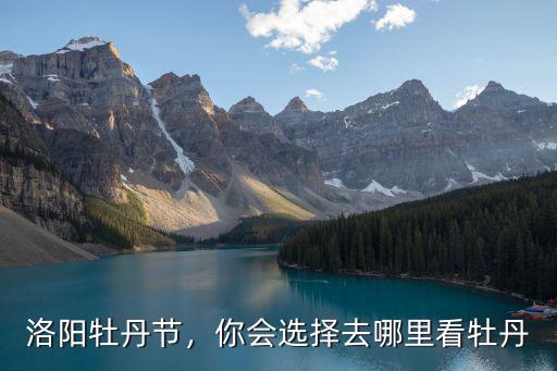 在洛陽哪里可以看到黑色牡丹,你會選擇去哪里看牡丹