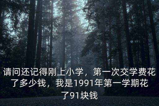 請問還記得剛上小學，第一次交學費花了多少錢，我是1991年第一學期花了91塊錢