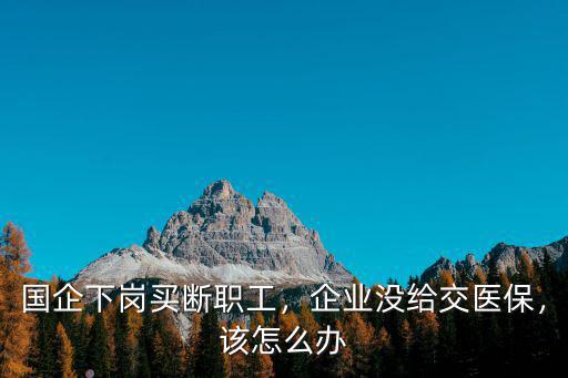 國(guó)企下崗買(mǎi)斷職工，企業(yè)沒(méi)給交醫(yī)保，該怎么辦