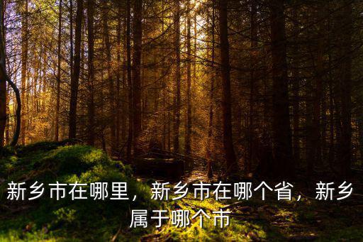 新鄉市檔案局在哪里,新鄉市在哪里
