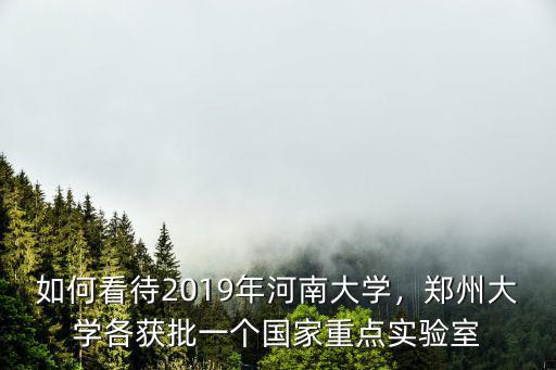 如何看待2019年河南大學，鄭州大學各獲批一個國家重點實驗室