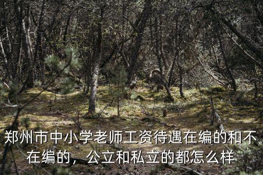 鄭州市中小學老師工資待遇在編的和不在編的，公立和私立的都怎么樣