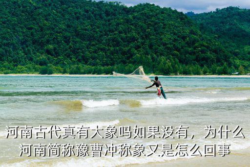 河南古代真有大象嗎如果沒有，為什么河南簡稱豫曹沖稱象又是怎么回事