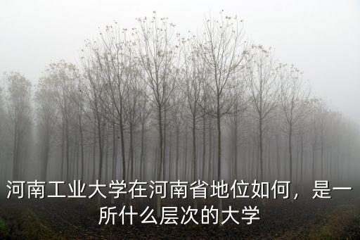 河南工業大學在河南省地位如何，是一所什么層次的大學