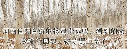 河南信陽有好的樓盤推薦嗎，看到的老鄉給個回復，孩子要上學了