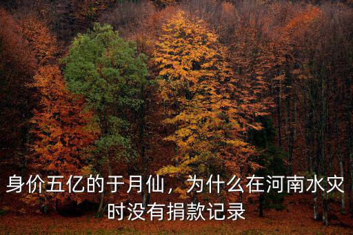 身價五億的于月仙，為什么在河南水災時沒有捐款記錄