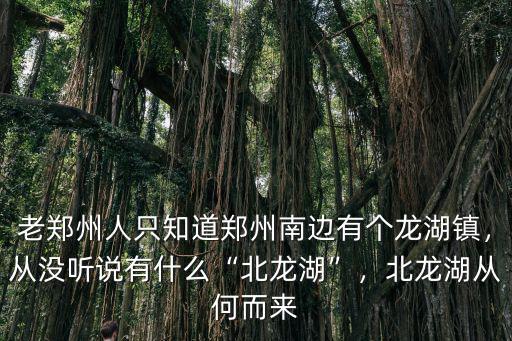 老鄭州人只知道鄭州南邊有個龍湖鎮(zhèn)，從沒聽說有什么“北龍湖”，北龍湖從何而來