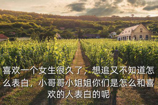 喜歡一個女生很久了，想追又不知道怎么表白，小哥哥小姐姐你們是怎么和喜歡的人表白的呢