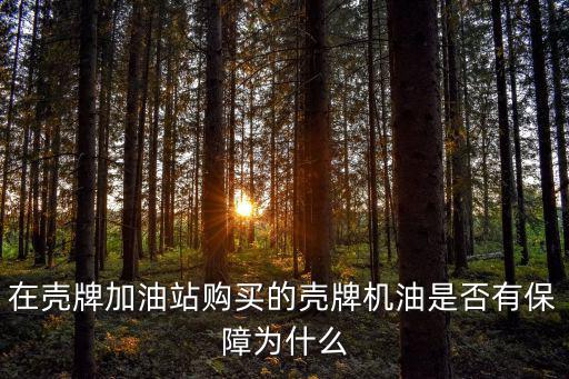 在殼牌加油站購買的殼牌機油是否有保障為什么