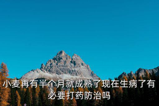 小麥再有半個月就成熟了現(xiàn)在生病了有必要打藥防治嗎