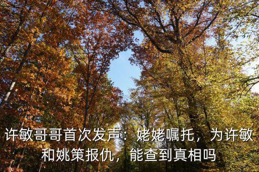 許敏哥哥首次發聲：姥姥囑托，為許敏和姚策報仇，能查到真相嗎