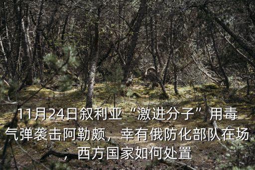安陽(yáng)防化部隊(duì)在哪里,幸有俄防化部隊(duì)在場(chǎng)