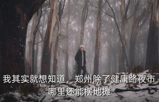 我其實(shí)就想知道，鄭州除了健康路夜市哪里還能擺地?cái)? class=