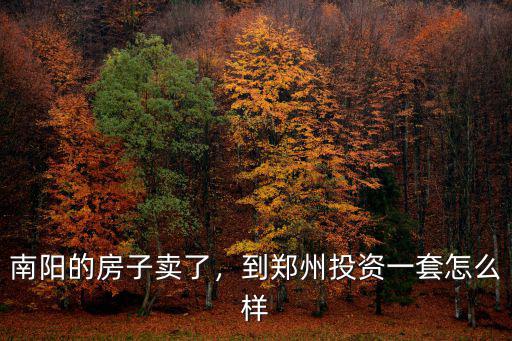 南陽的房子賣了，到鄭州投資一套怎么樣