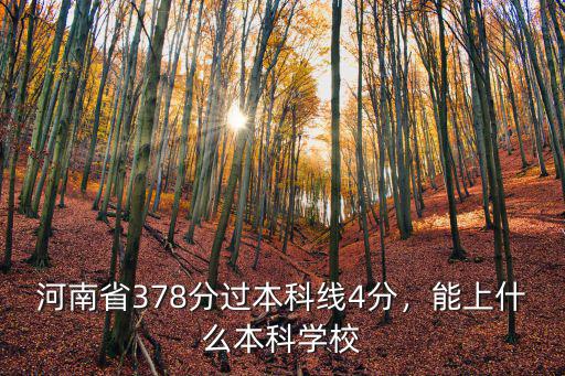 河南省多少分是本科,河南省378分過(guò)本科線4分
