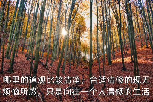 哪里的道觀比較清凈，合適清修的現無煩惱所惑，只是向往一個人清修的生活