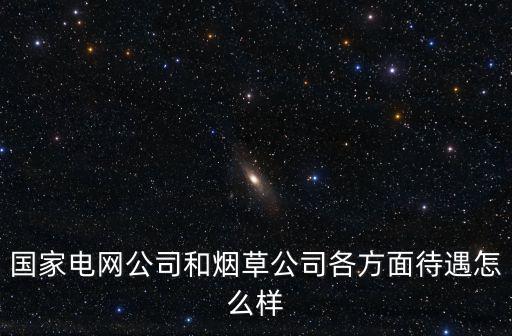 國家電網公司和煙草公司各方面待遇怎么樣