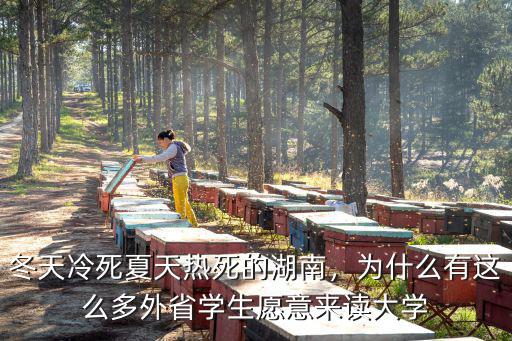 冬天冷死夏天熱死的湖南，為什么有這么多外省學(xué)生愿意來讀大學(xué)