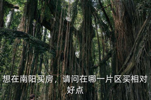 想在南陽買房，請(qǐng)問在哪一片區(qū)買相對(duì)好點(diǎn)