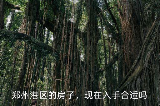 鄭州港區的房子，現在入手合適嗎