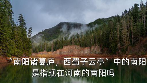“南陽諸葛廬，西蜀子云亭”中的南陽是指現在河南的南陽嗎