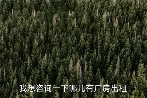 我想咨詢一下哪兒有廠房出租