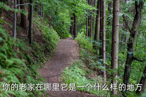 南陽晨楓老家是哪里的,南陽張姓祖上是哪里的